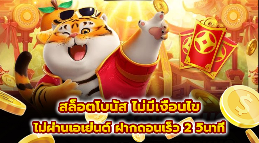 สล็อตโบนัส ไม่มีเงื่อนไข